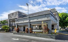 Rodeway Inn Clearwater-Dunedin